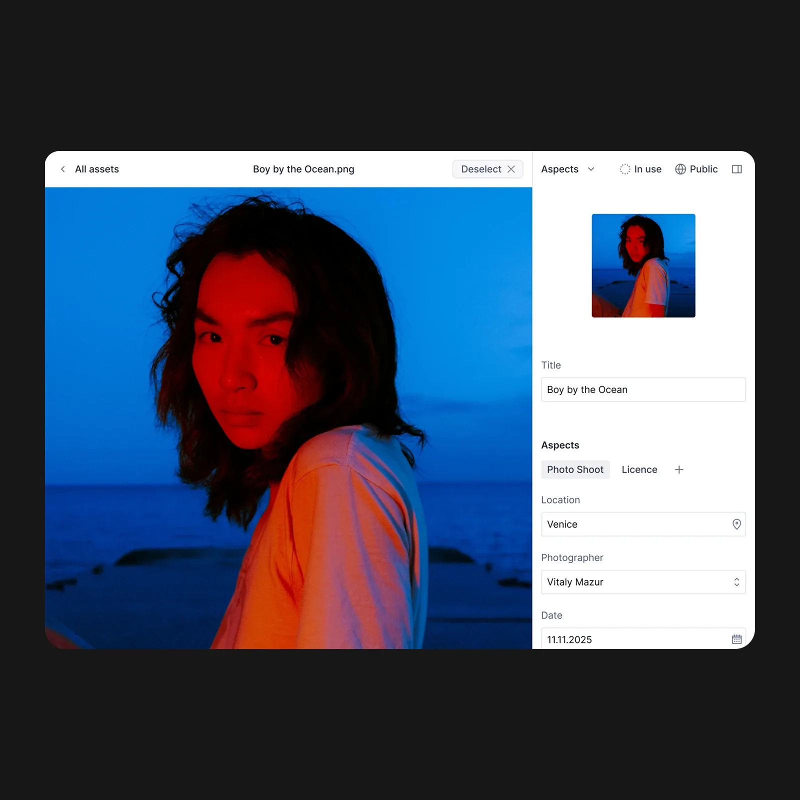 Mockup of the media library in Sanity with descriptive metadata on an image